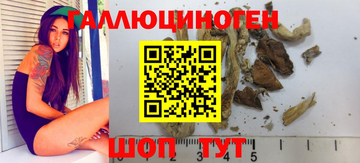 Псилоцибиновые грибы Cubensis Верхний Уфалей